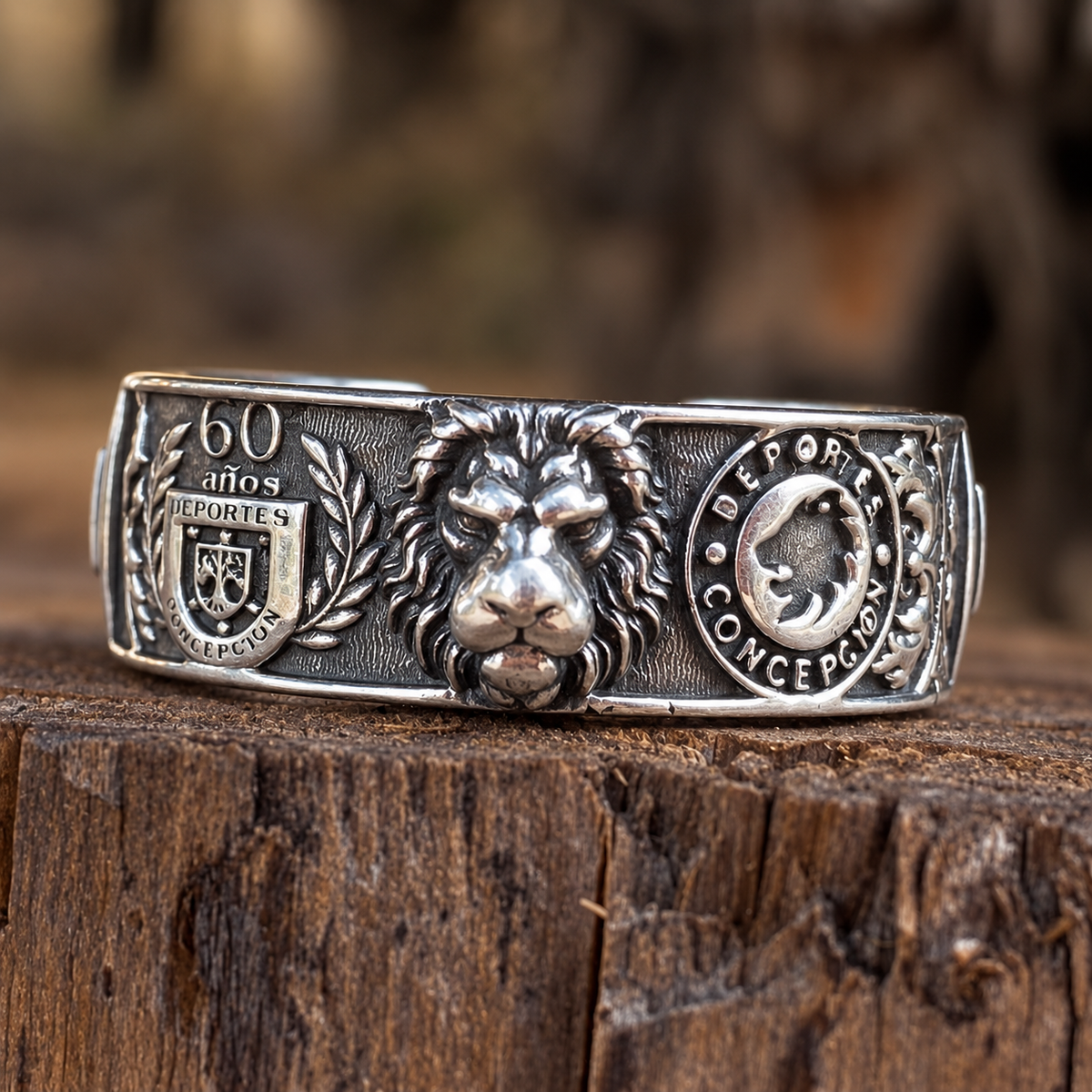Anillo Deportes Concepción – León de Collao | Plata Nacional Ley 950