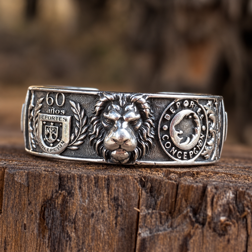 Anillo Deportes Concepción – León de Collao | Plata Nacional Ley 950